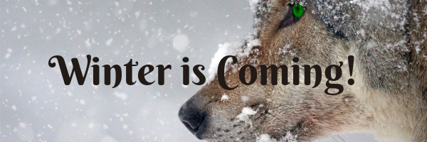 quote about winter with photo of a wolf in the snow r/t expenses